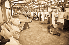 Cooinbil Shearing 039256  sepia (1 of 1) © Claire Parks Photography